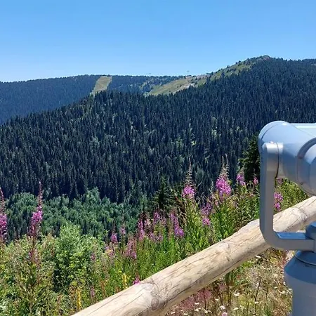 Milmari Apartmanvid N57