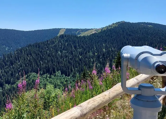 Milmari Apartmanvid N57